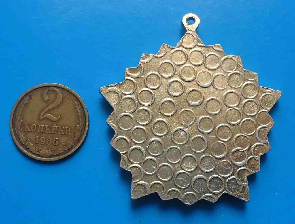 Ветеран 128 СПКД 1939-1945 Стрелковая Псковская Краснознаменная дивизия 2