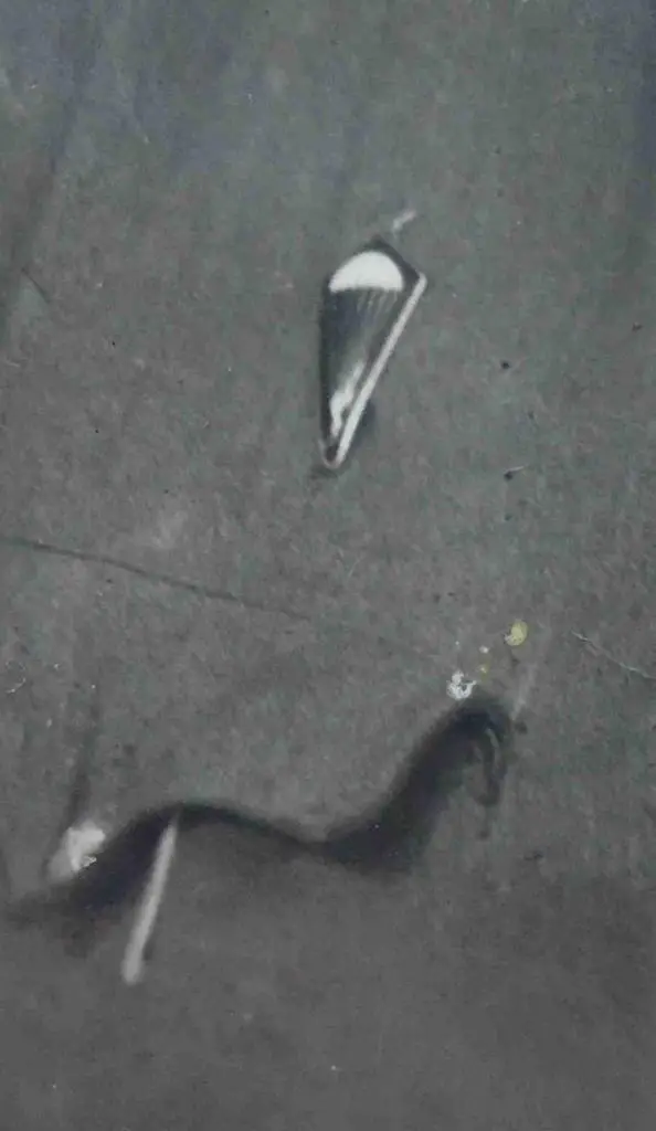 фото со знаком Парашютиста разовика 1954 ВВС 1