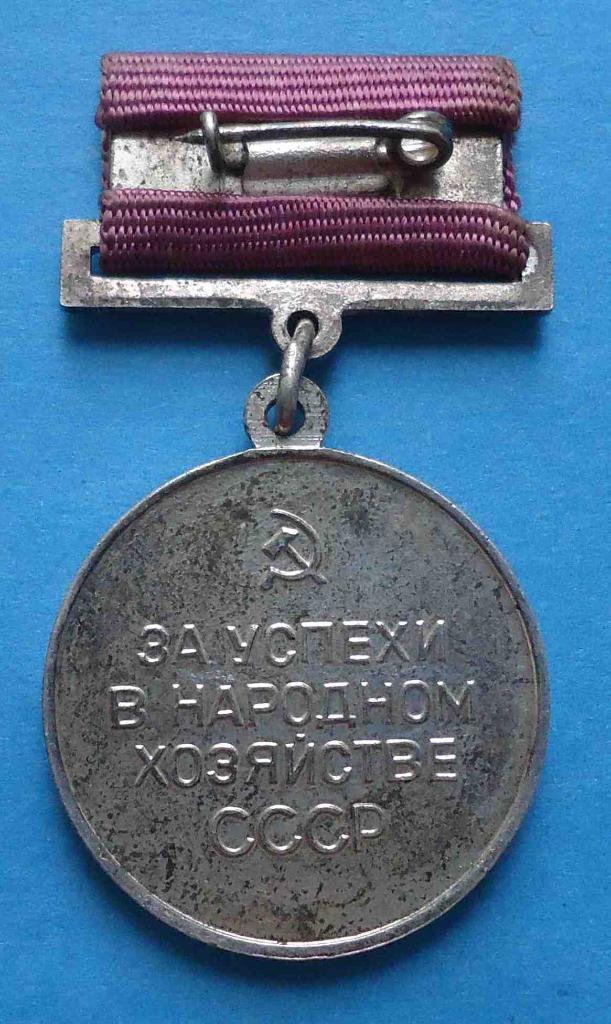 За успехи в народном хозяйстве СССР Малая серебряная медаль ВДНХ булавка 1