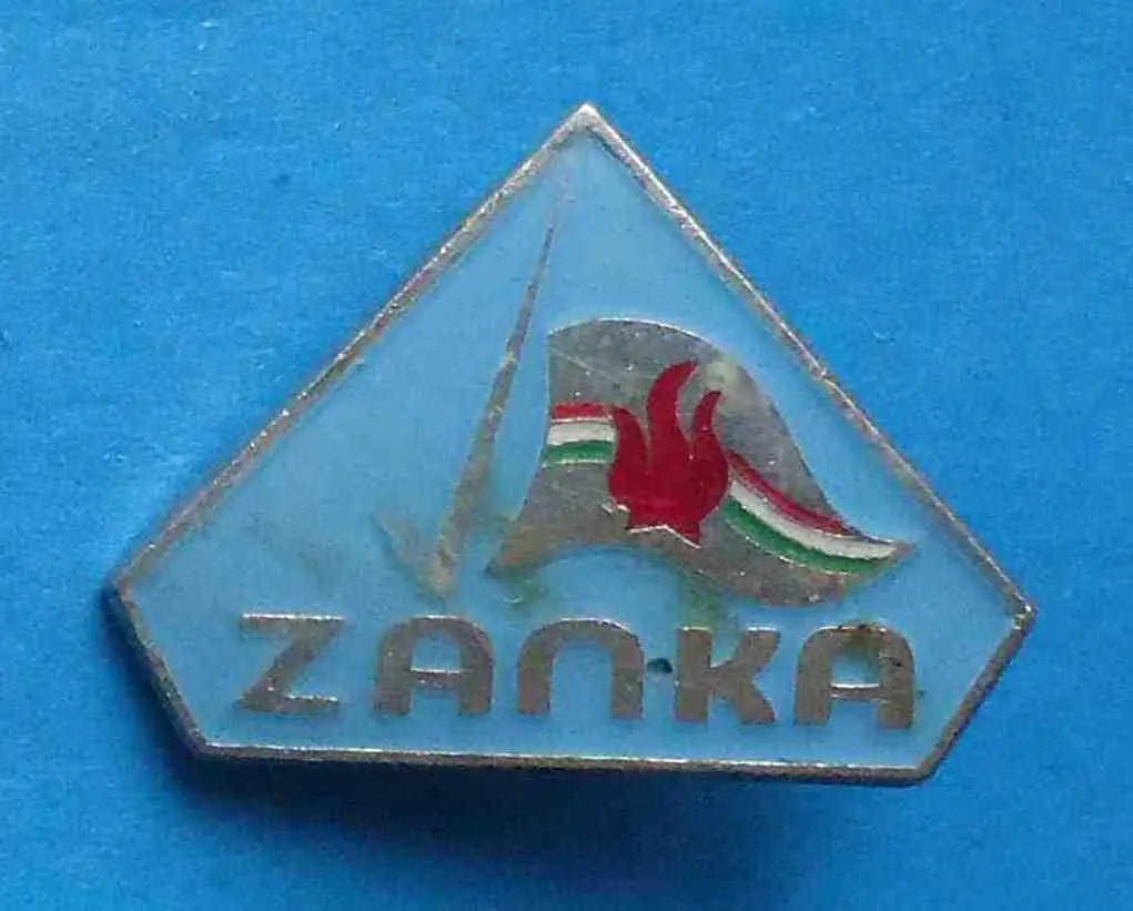 Международный пионерский лагерь ZANKA Занка Венгрия