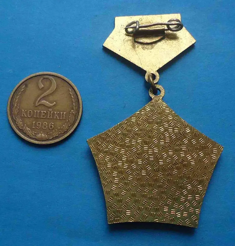 Ветеран 62-8 Гвардейской Армии тажелый 2