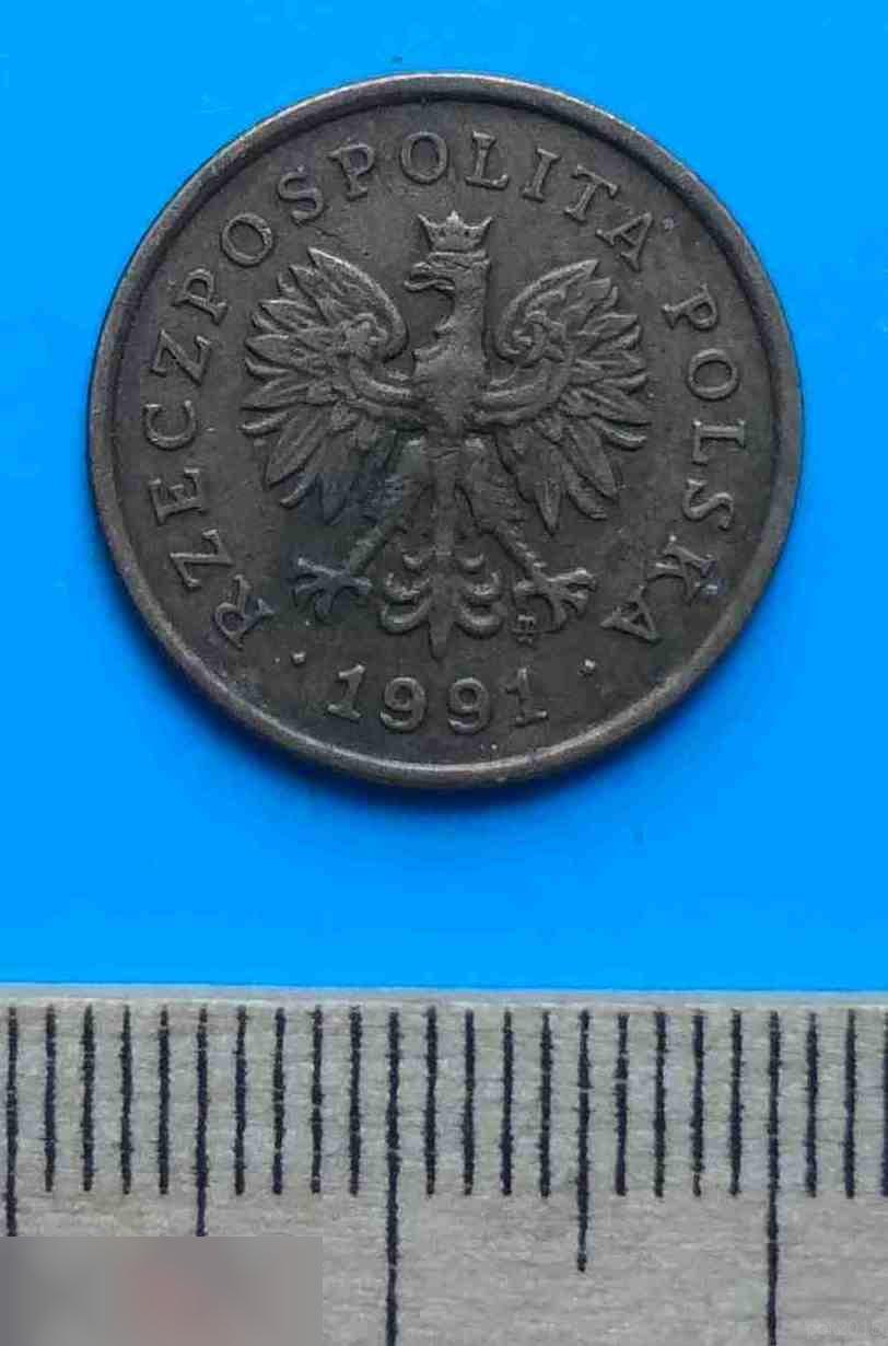 5 грошей 1991 года Польша 1