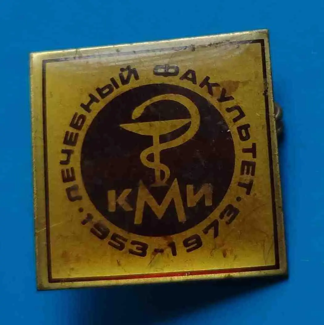 20 лет КМИ Лечебный факультет 1953-1973 Киевский медицинский институт 2