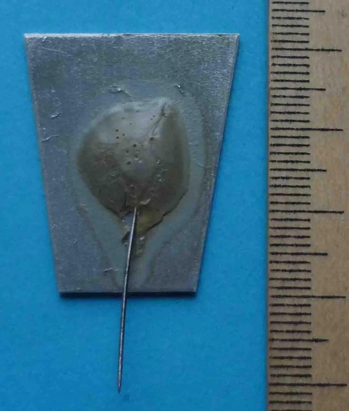 15 лет НКИ 1965-1980 Николаевский кораблестроительный институт, корабль, тяжелый 2