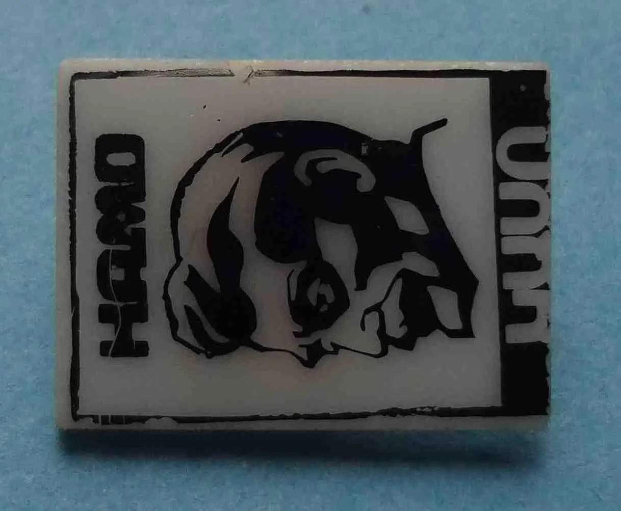 Камо Симон Аршакович Тер-Петросян революционер 1