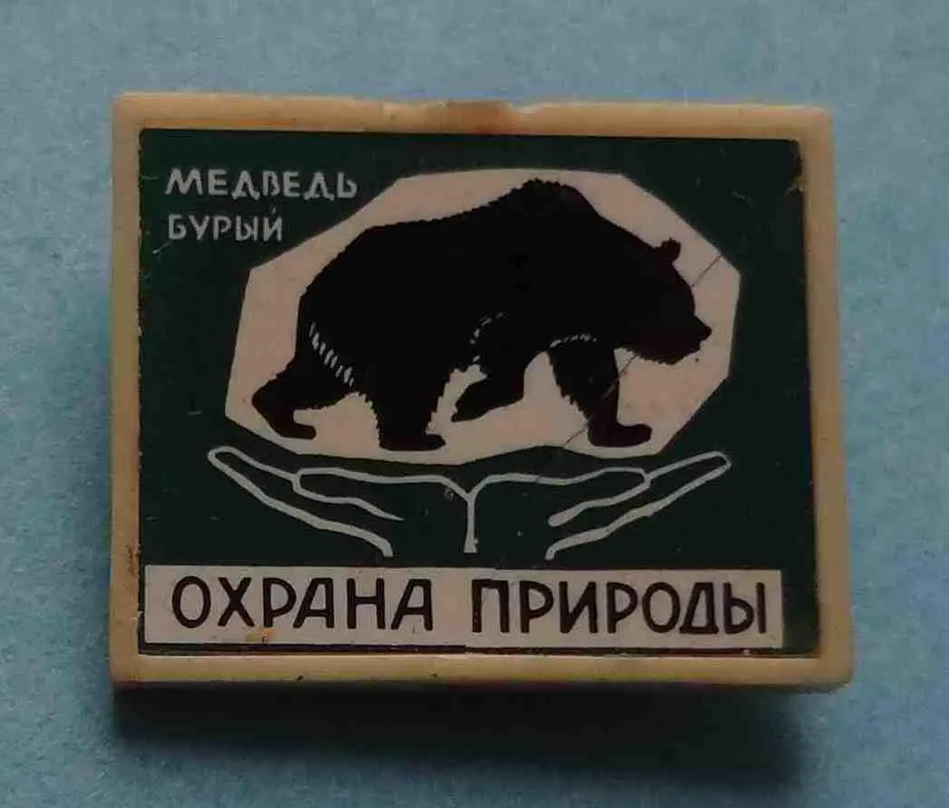 Охрана природы Медведь бурый ситалл