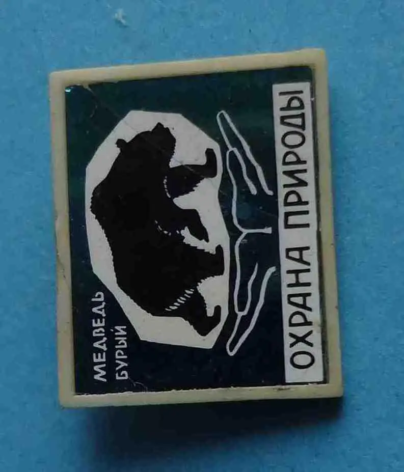 Охрана природы Медведь бурый ситалл 1