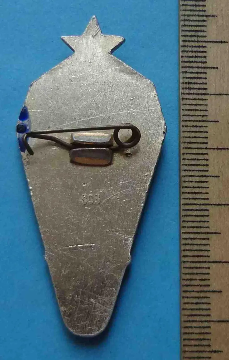 Инструктор парашютист 2 класс ВДВ 2