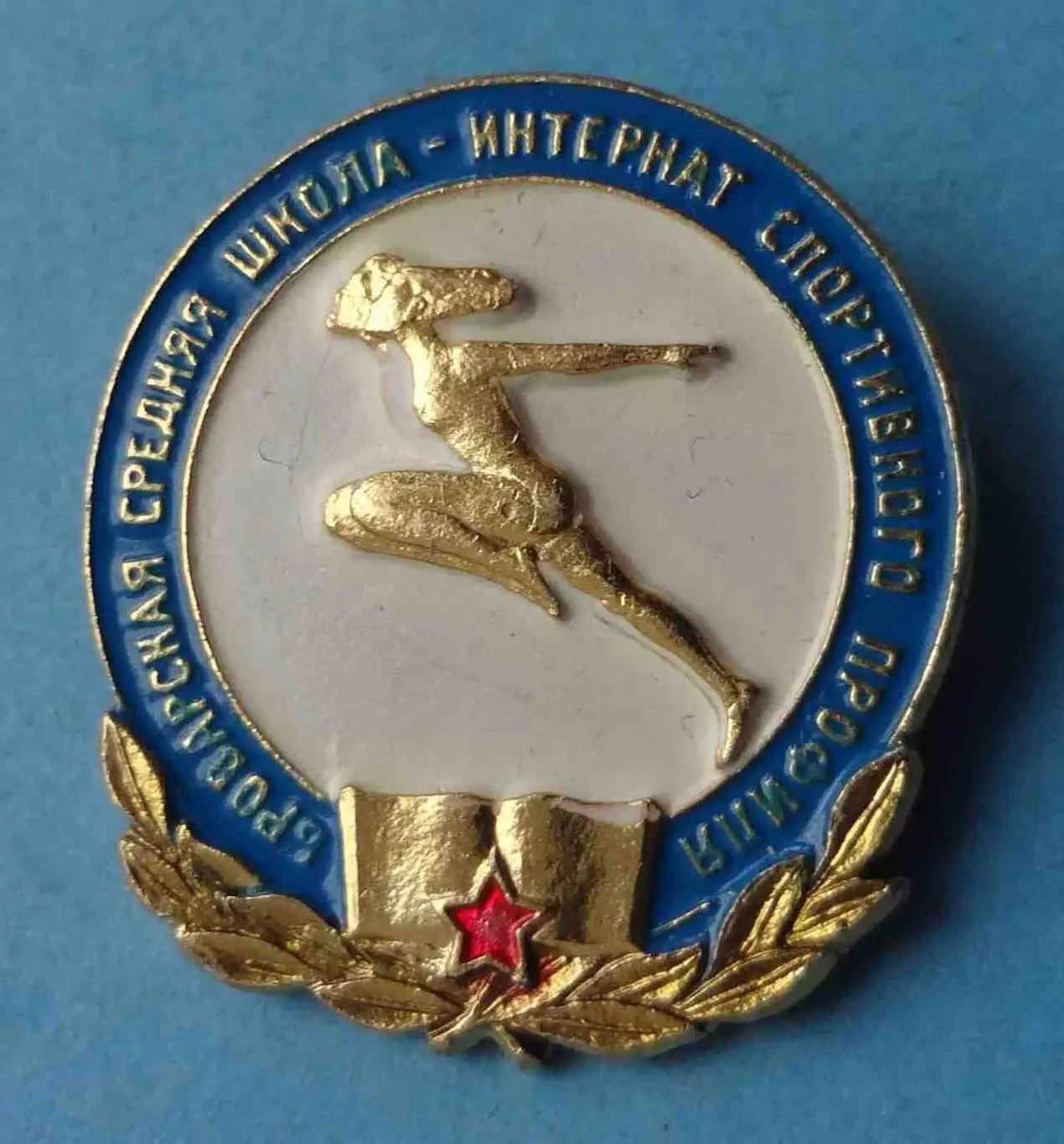 Броварская средняя школа-интернат спортивного профиля 2 (8)