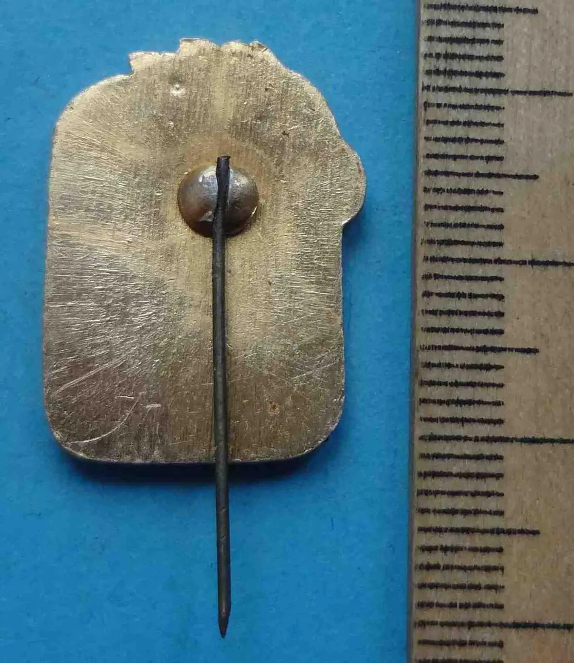 Виды спорта Фехтование веточки 6 (8) 1