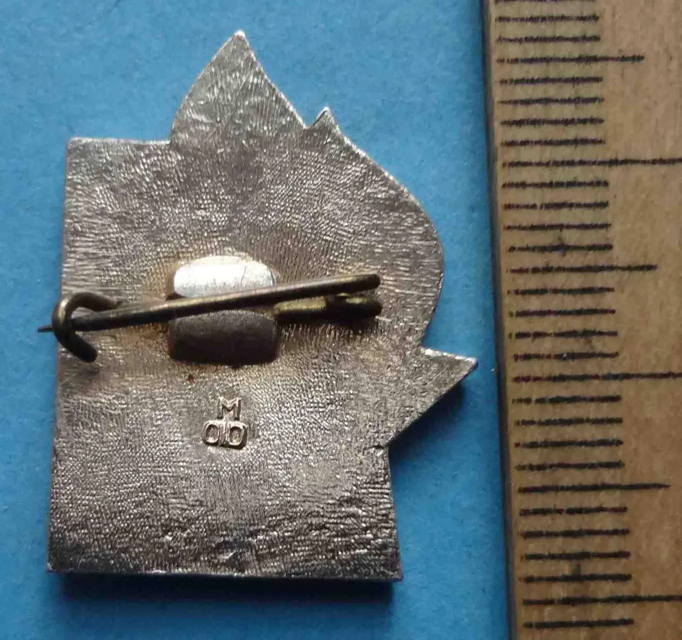 50 лет Пионерский лагерь Одесса (39) 1