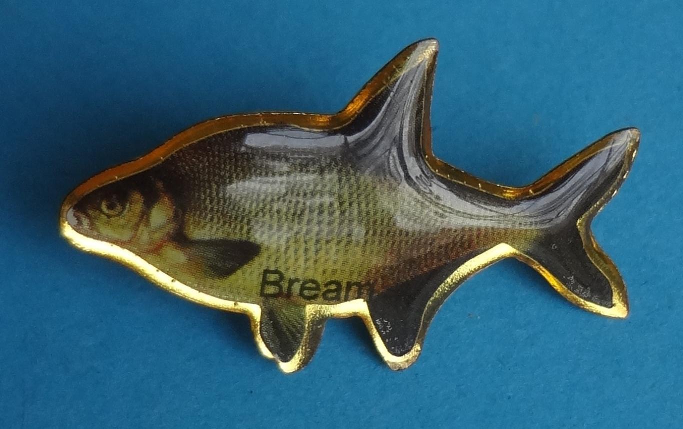 Bream Лещ рыбка (45)