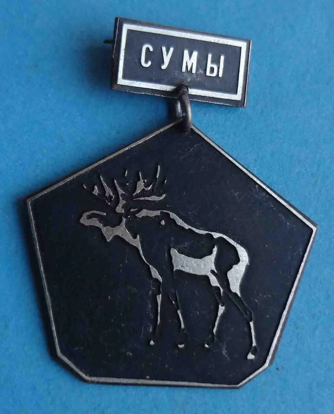 Сумы Лось УООР (53)