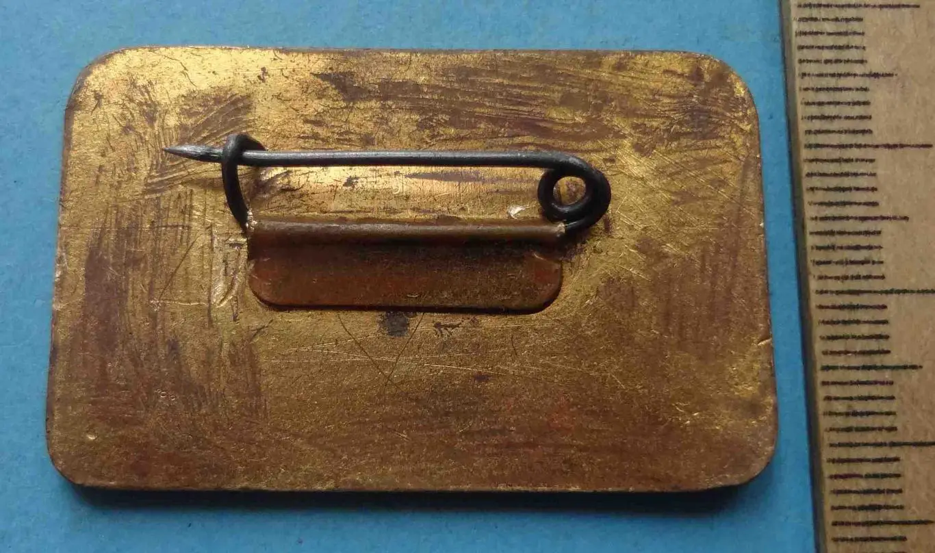 13 съезд гигиенистов эпидемиологов инфекционистов микробиологов 1956 Ленин (56) 4