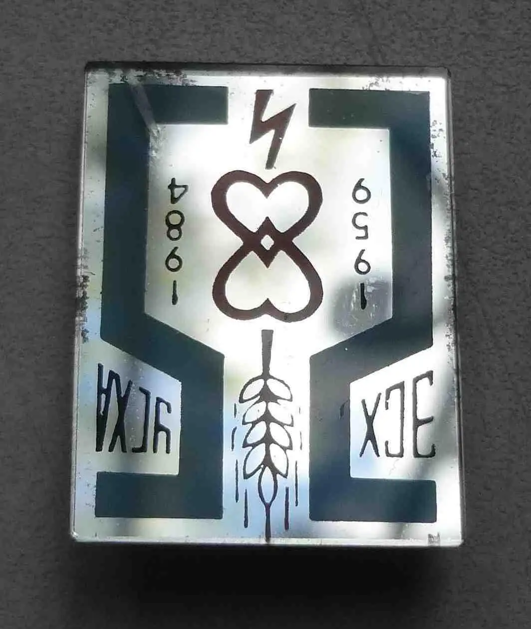 25 лет ЭСХ УСХА 1959-1984 Украинская сельскохозяйственная академия стекло (57) 1