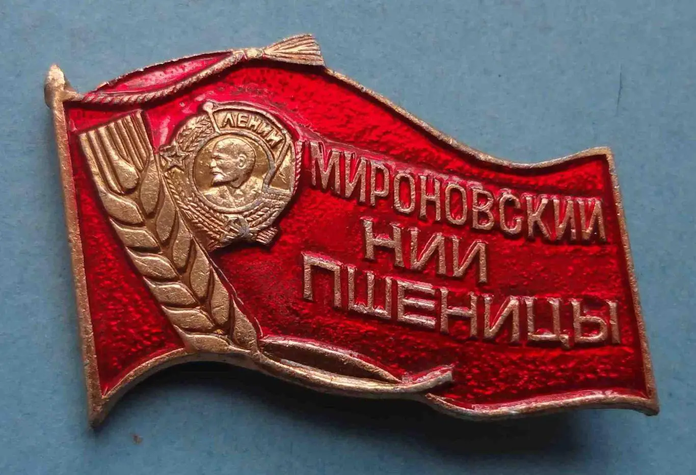 Мироновский НИИ пшеницы Орден Ленин (58)