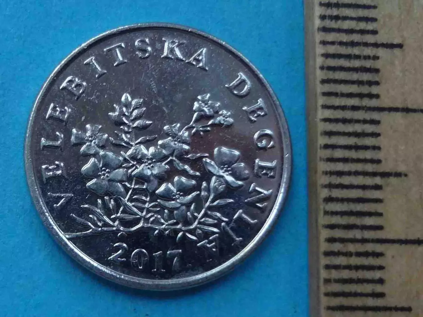 50 липа 2017 года Хорватия (59) 1