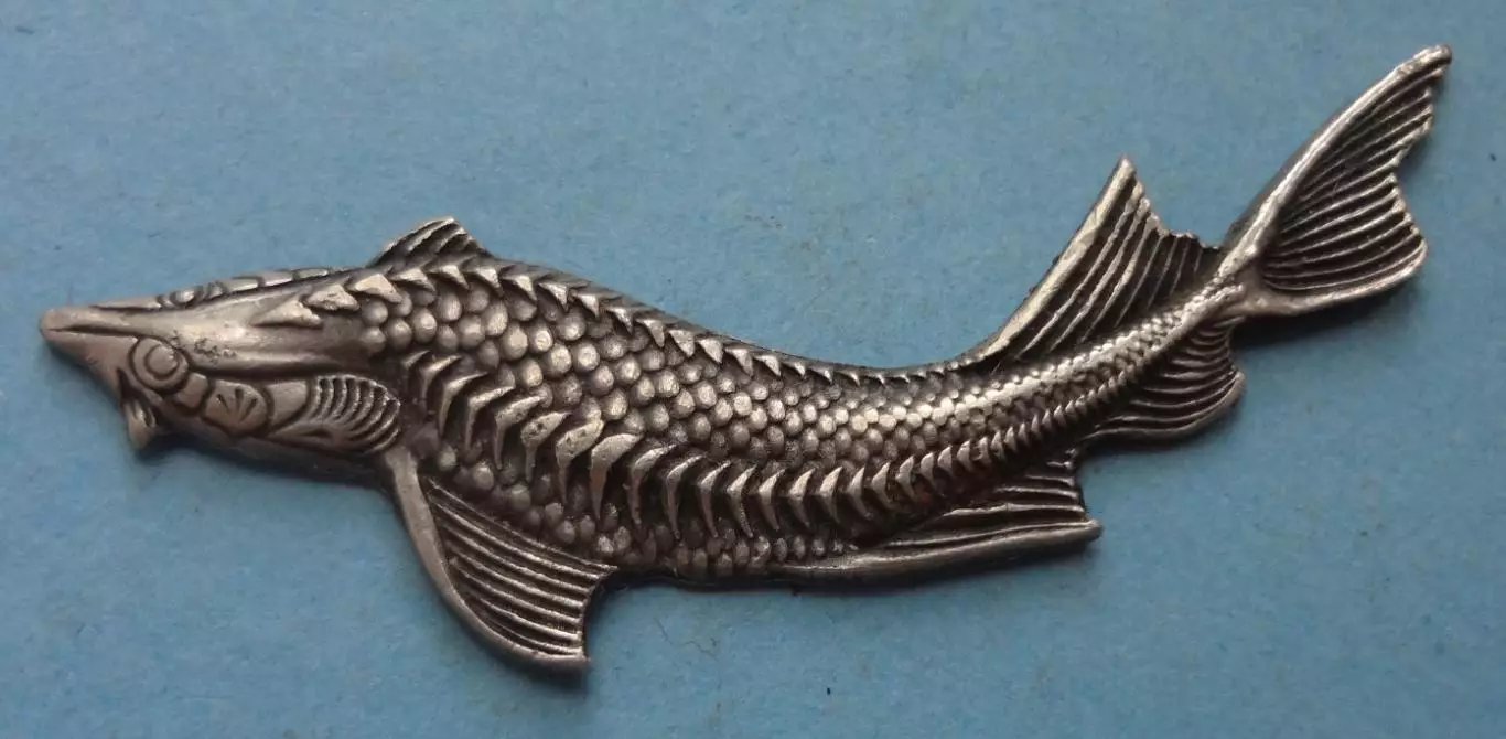 Осетр рыба накладка? (60)