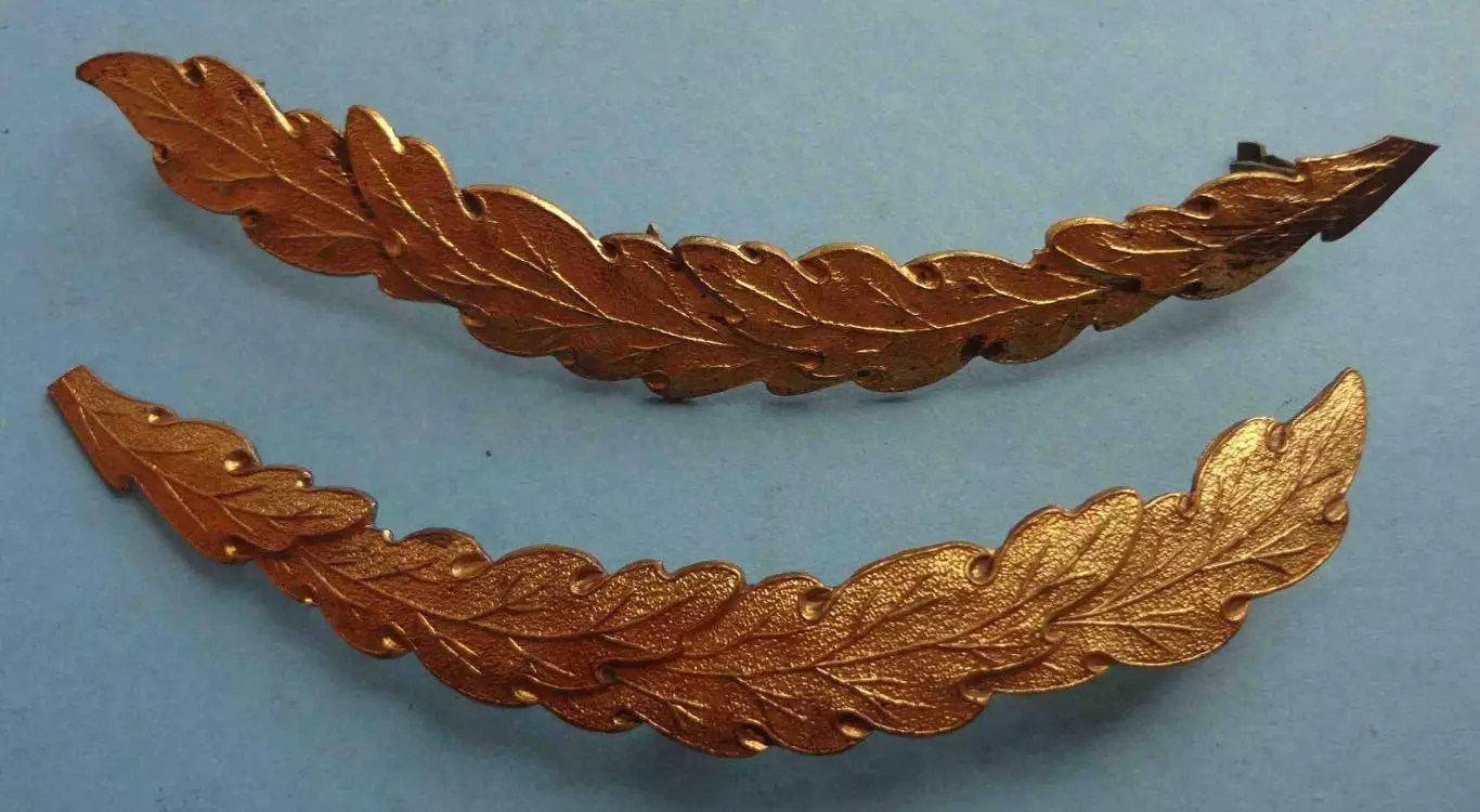 Кокарда парадная составная образца 1955 года и орнамент листья латунь (61) 5
