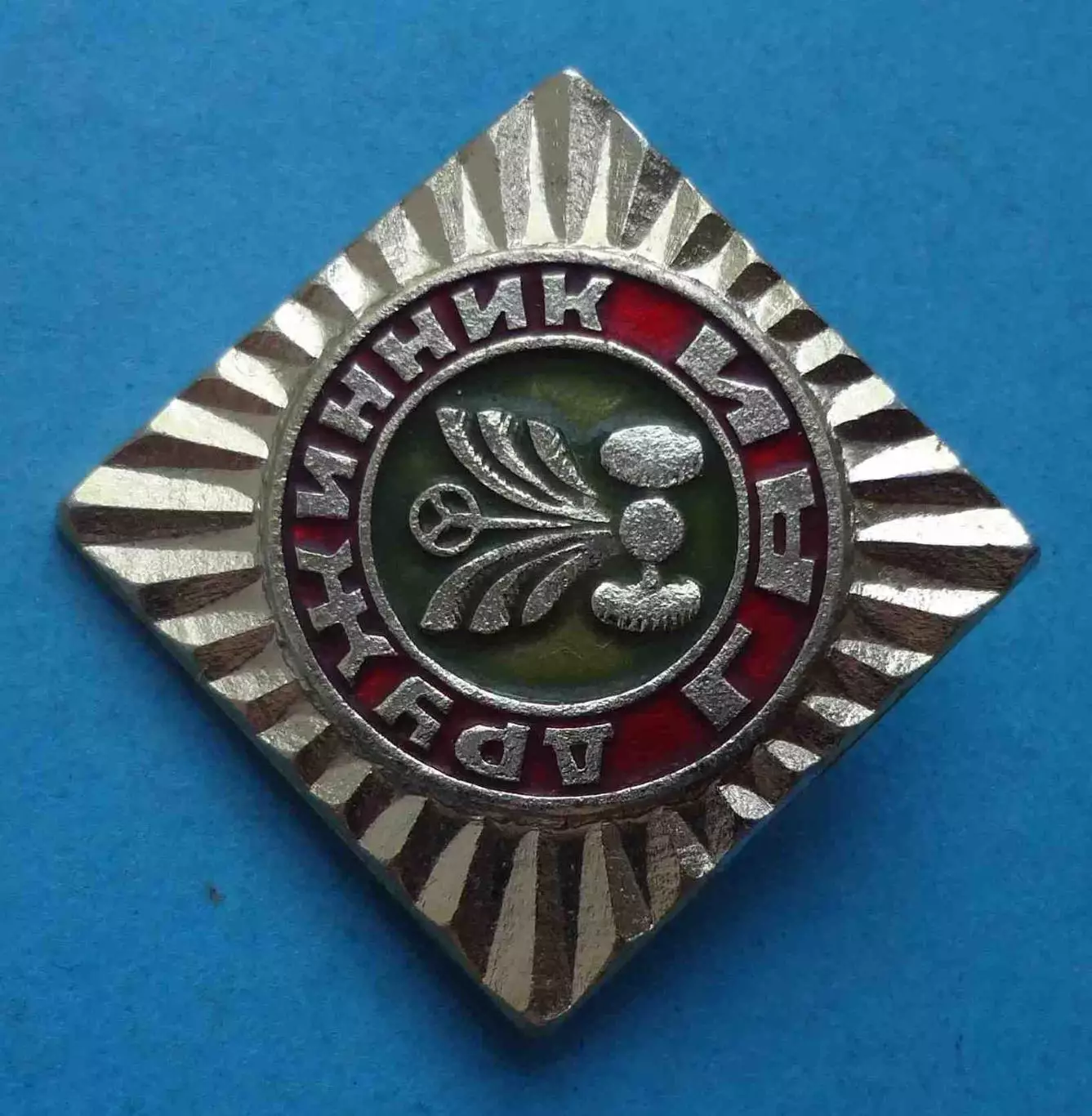 Дружинник ГАИ ДНД (61) 1