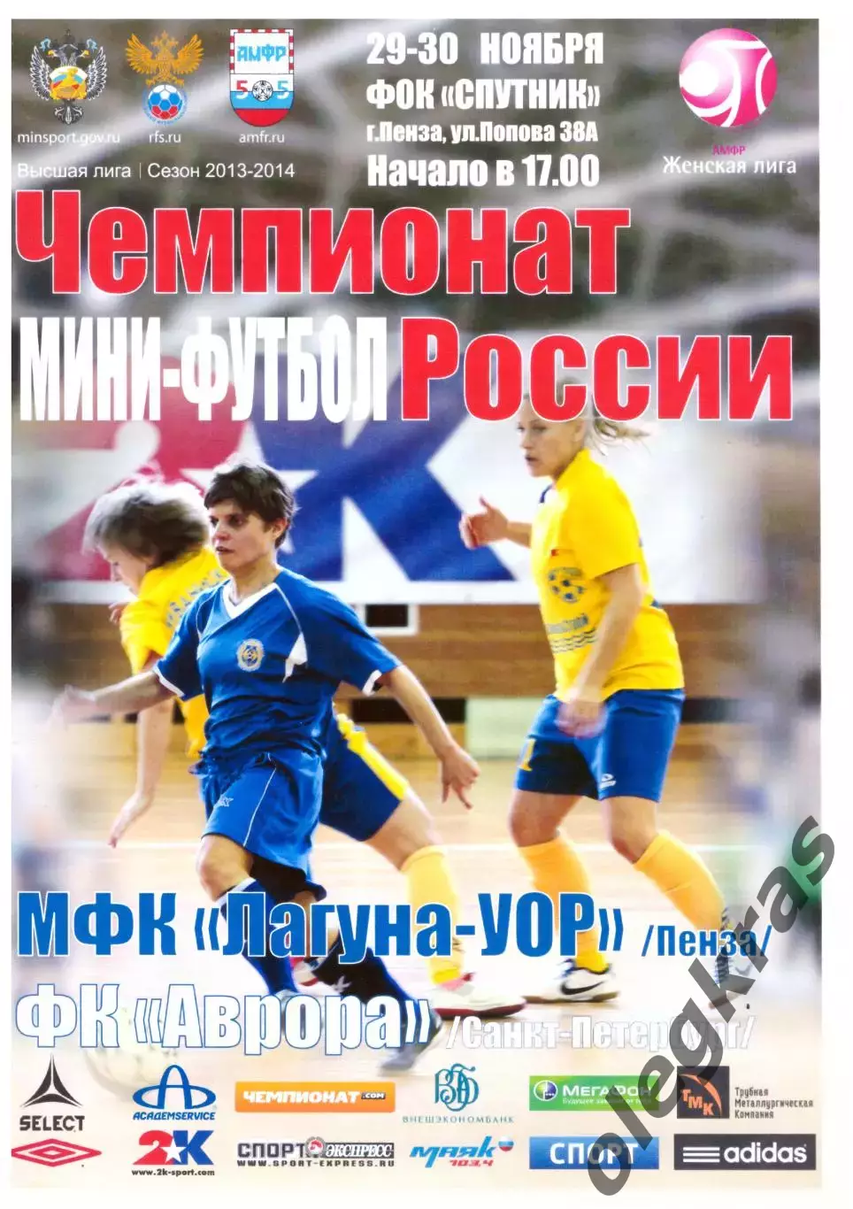 Лагуна - УОР(Пенза) - Аврора(Санкт - Петербург) - 29-30 ноября 2013 года.