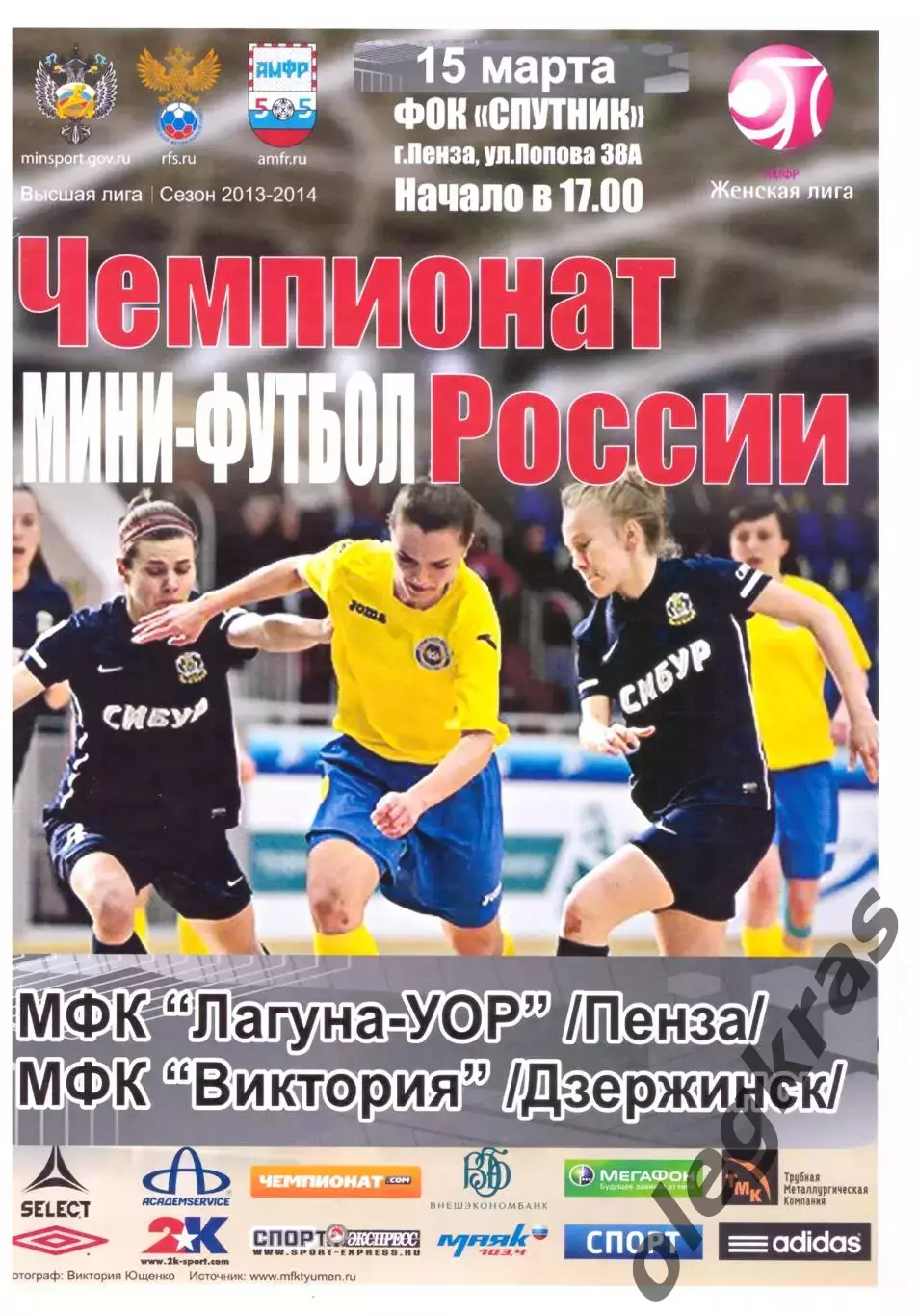 Лагуна-УОР(Пенза) - Виктория(Дзержинск) - 15 марта 2014 года.