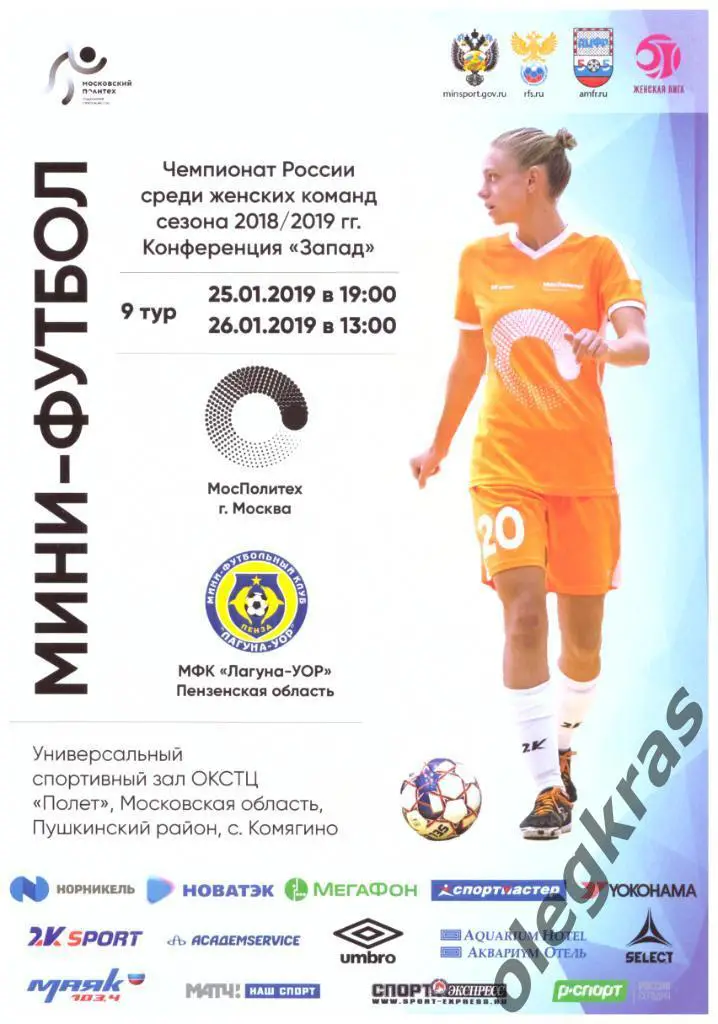 МосПолитех(Москва) - Лагуна - УОР(Пензенская обл.) - 25-26 января 2019 года.