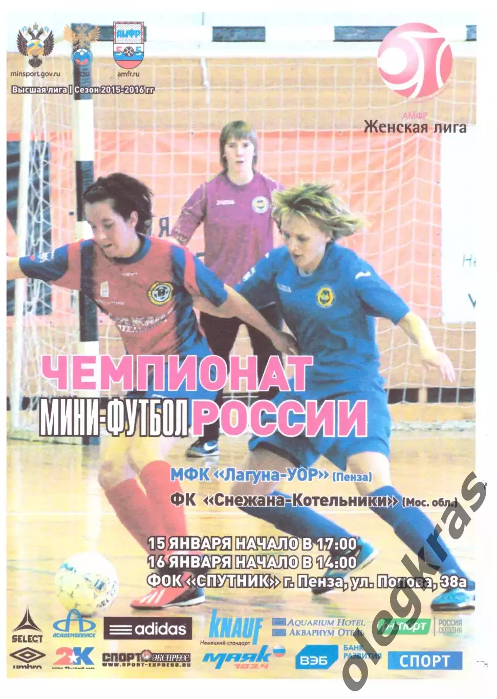 Лагуна-УОР(Пенза) - Снежана-Котельники(Мос. обл.) - 15-16 января 2016 года.