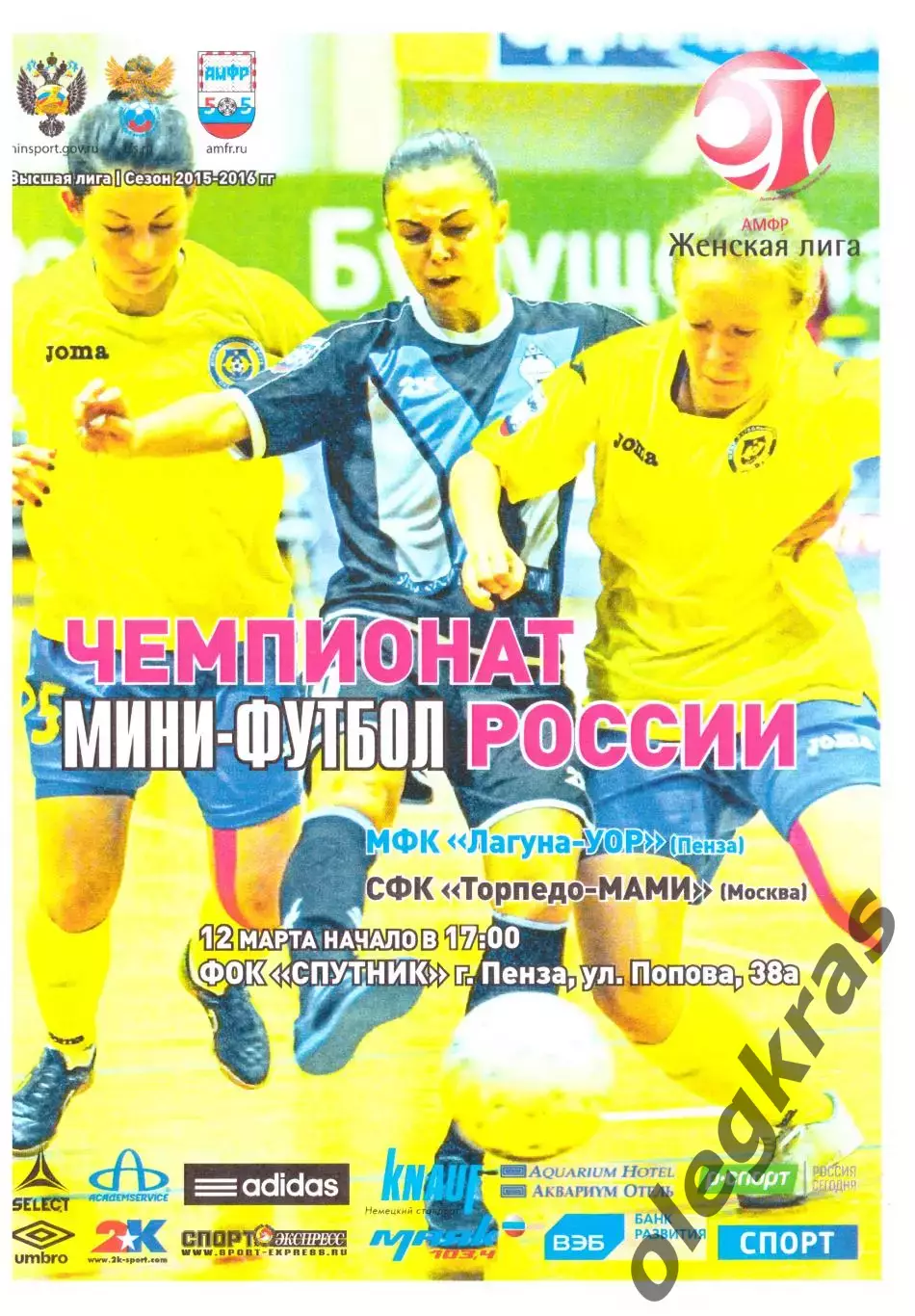 Лагуна-УОР(Пенза) - Торпедо-МАМИ(Москва) - 12 марта 2016 года.
