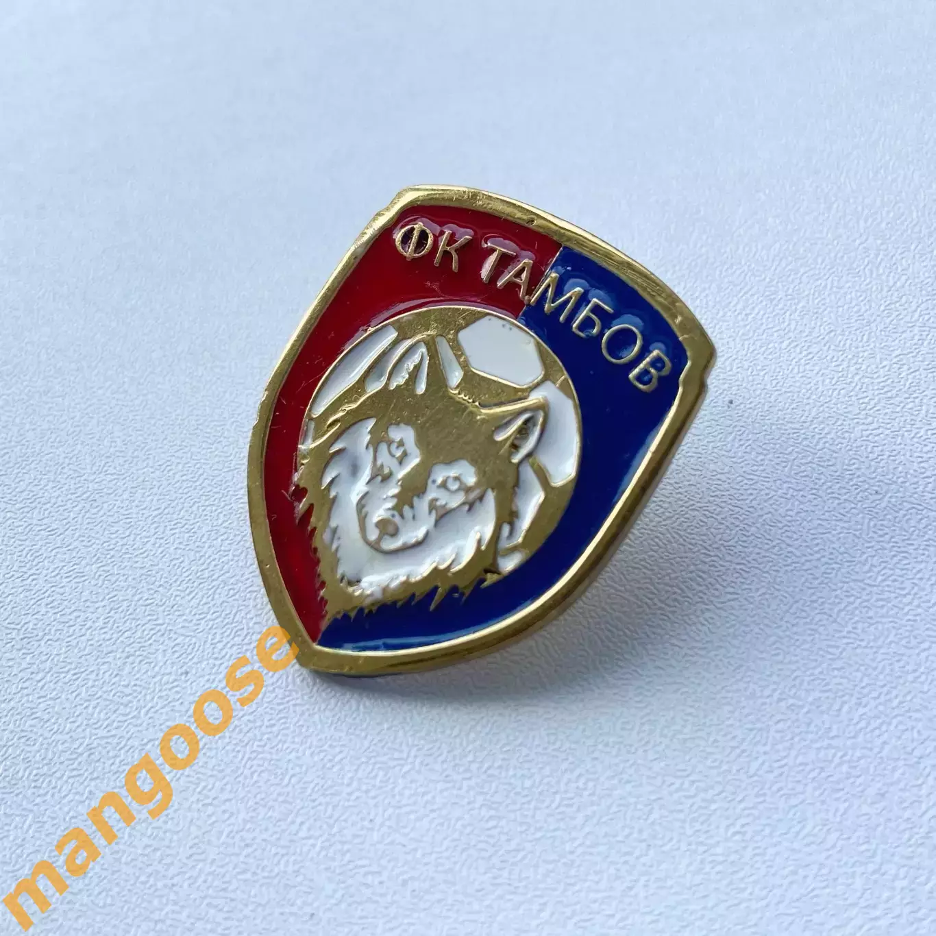 Значок ФК Тамбов (Россия)