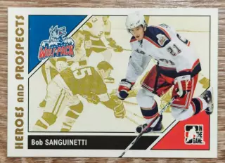 Карточка NHL. Боб Сангинетти/Bob Sanguinetti Хартфорд/Hartford