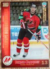 Карточка КХЛ. Вацлав Недорост Металлург Новокузнецк. 2010-2011 SeReal