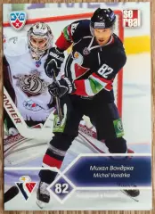 Карточка КХЛ. Михал Вондрка Слован. 2012-2013 SeReal