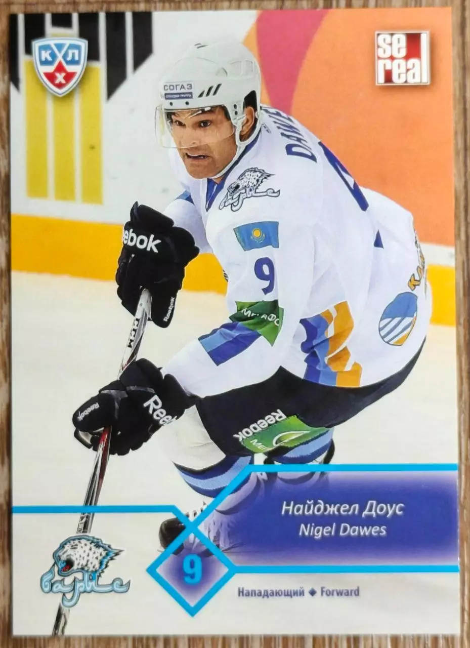 Карточка КХЛ. Найджел Доус Барыс. 2012-2013 SeReal