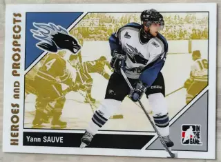 Карточка NHL. Янн Совэ/Yann Sauve Сент-Джон/Saint John