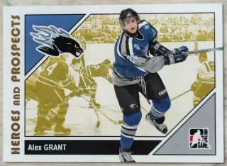Карточка NHL. Алекс Грант/Alex Grant Сент-Джон/Saint John