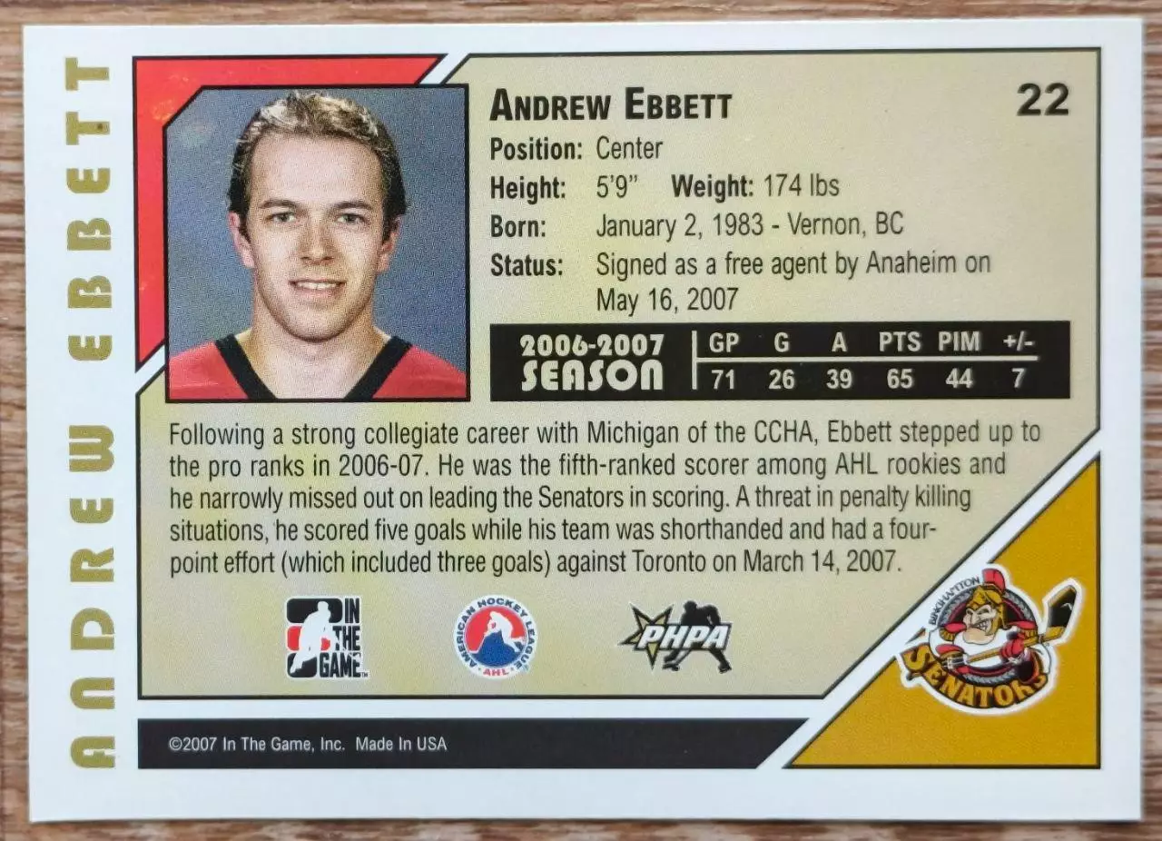 Карточка NHL. Эндрю Эббетт/Andrew Ebbett Бингемтон/Binghamton 1