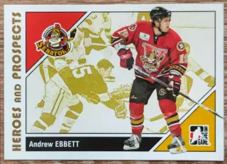 Карточка NHL. Эндрю Эббетт/Andrew Ebbett Бингемтон/Binghamton