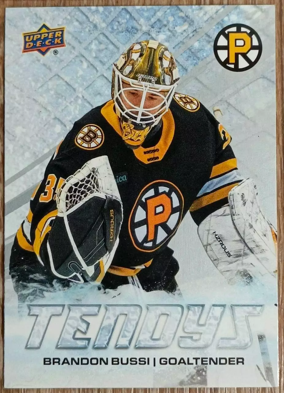Карточка AHL. Брэндон Бусси/Brandon Bussi Провиденс/Providence