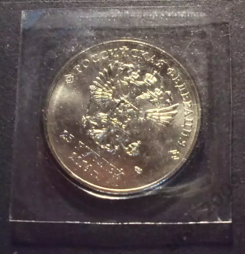 25 рублей 2014 год. Олимпиада Сочи, факел. блистер,запайка. 1