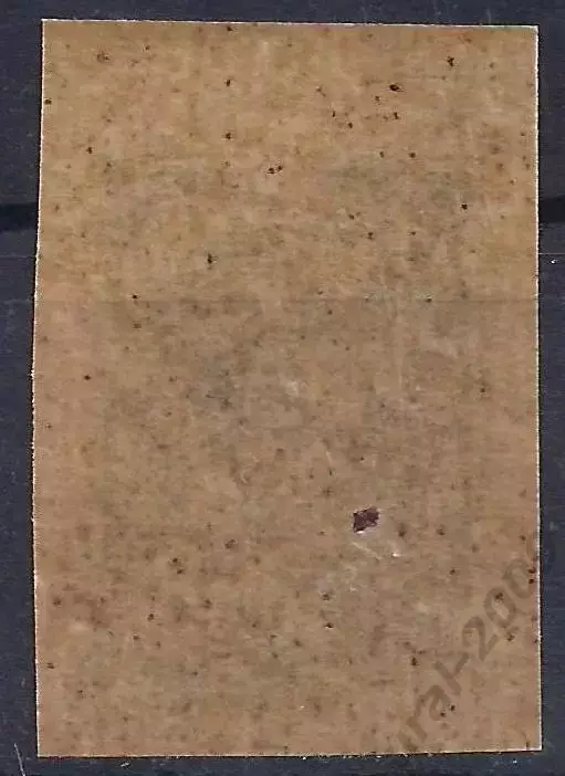 Гражданская война, Единая Россия, Деникин, 1919г, 10 коп. чистая!* (Б-2). 1