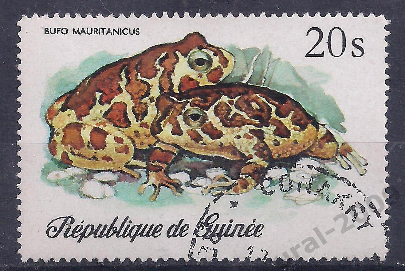 Гвинея, 20 долларов. фауна, лягушка (Б-2).