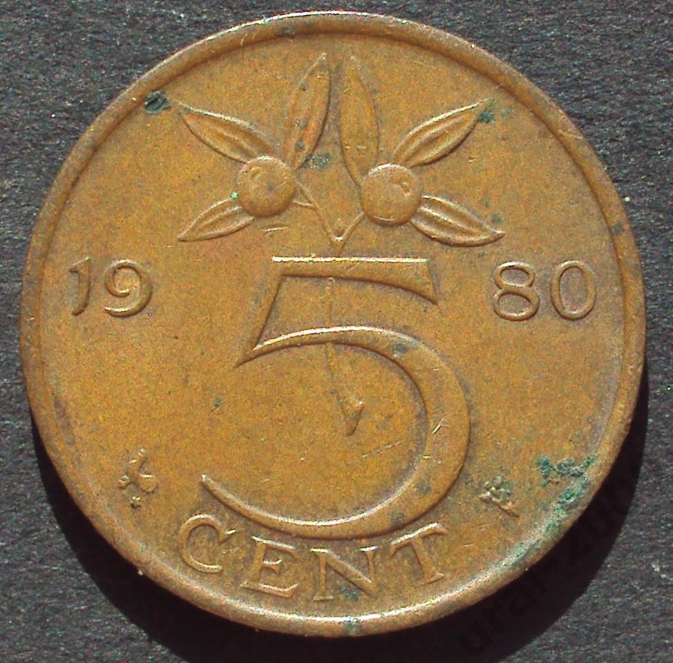 Нидерланды, 5 центов 1980 год! (А-35).