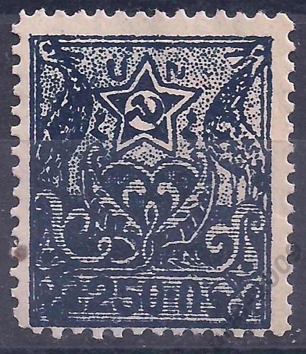 Гражданка, Армянская ССР, 1922, 250 руб. чистая. (Ч-17).