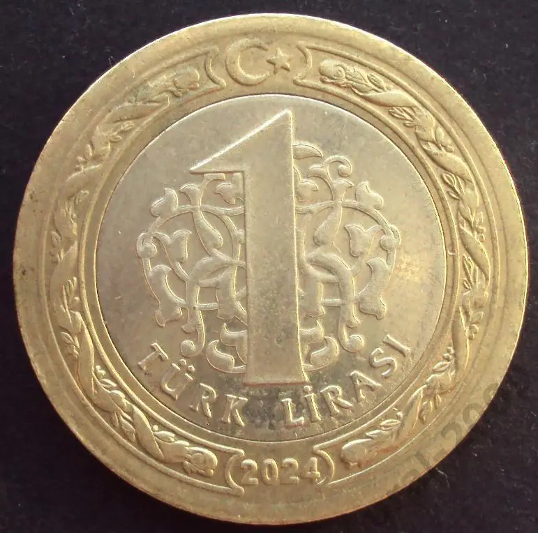 Турция, 1 лира 2024 год! (А-102).