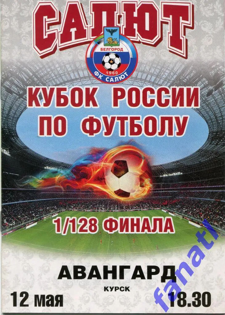 Салют Белгород - Авангард Курск 2011 г КУБОК РОССИИ