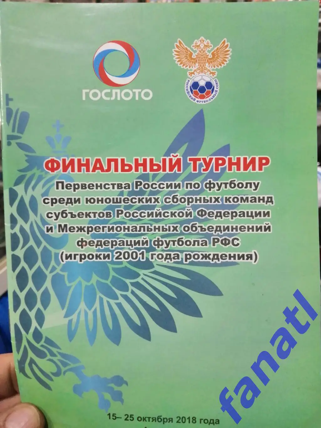 Первенство России среди юношеских сборных. Финальный турнир 15-25 октября 2018 г