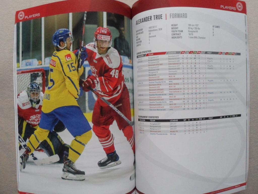 программа чемпионата мира хоккею 2018 - сборная Дании 1