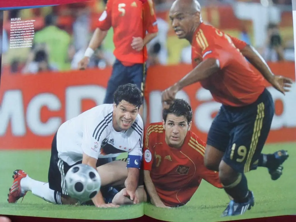 Фотоальбом. Чемпионат Европы по футболу 2008 6