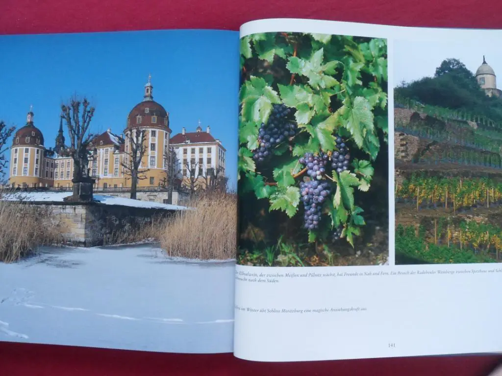 фотоальбом Дрезден (достопримечательности Германии) 2